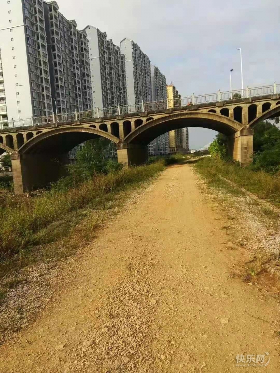 1615426302858453_452.jpg