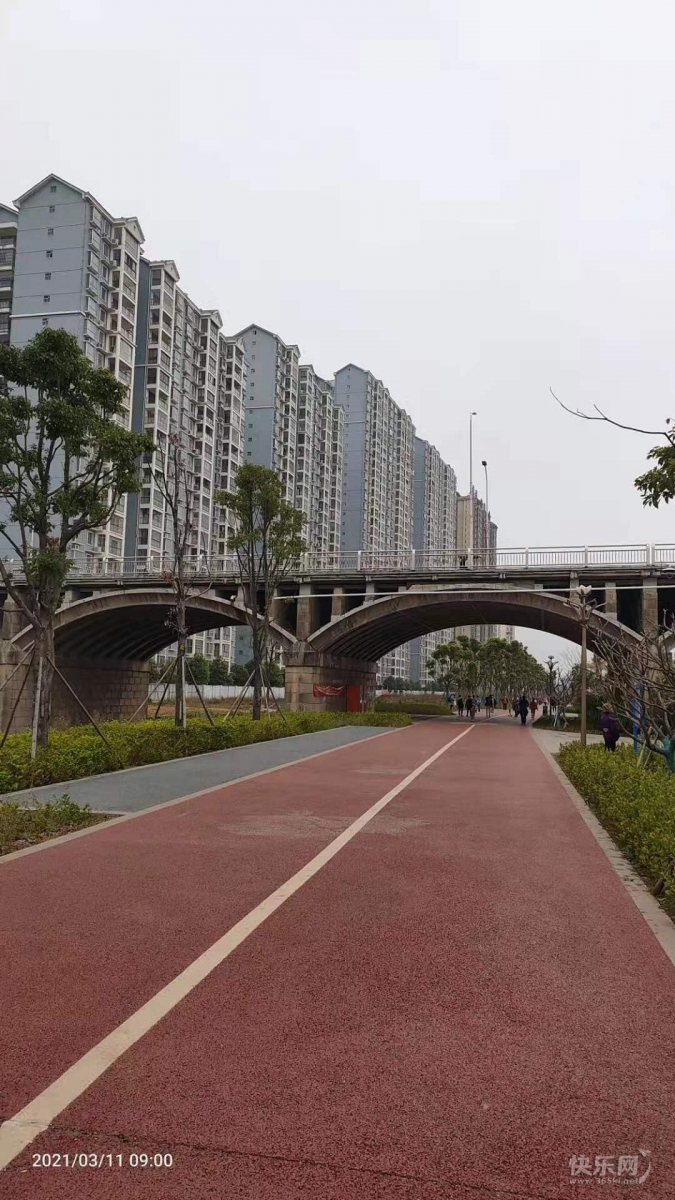 1615426302929645_618.jpg