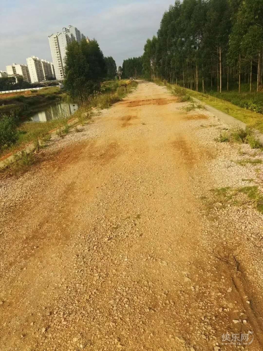 1615426316580418_543.jpg