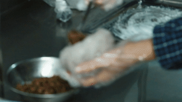 02fad8ec2a6a9108913a2230b52b63e8.gif