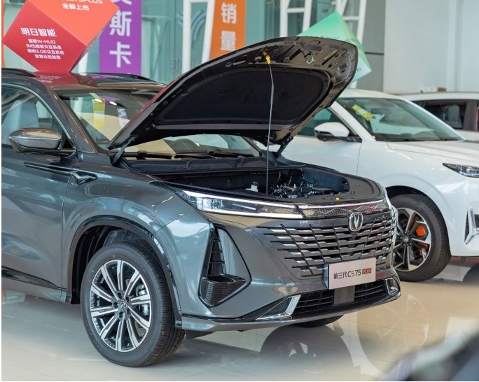 微信截图_20240111162808.png