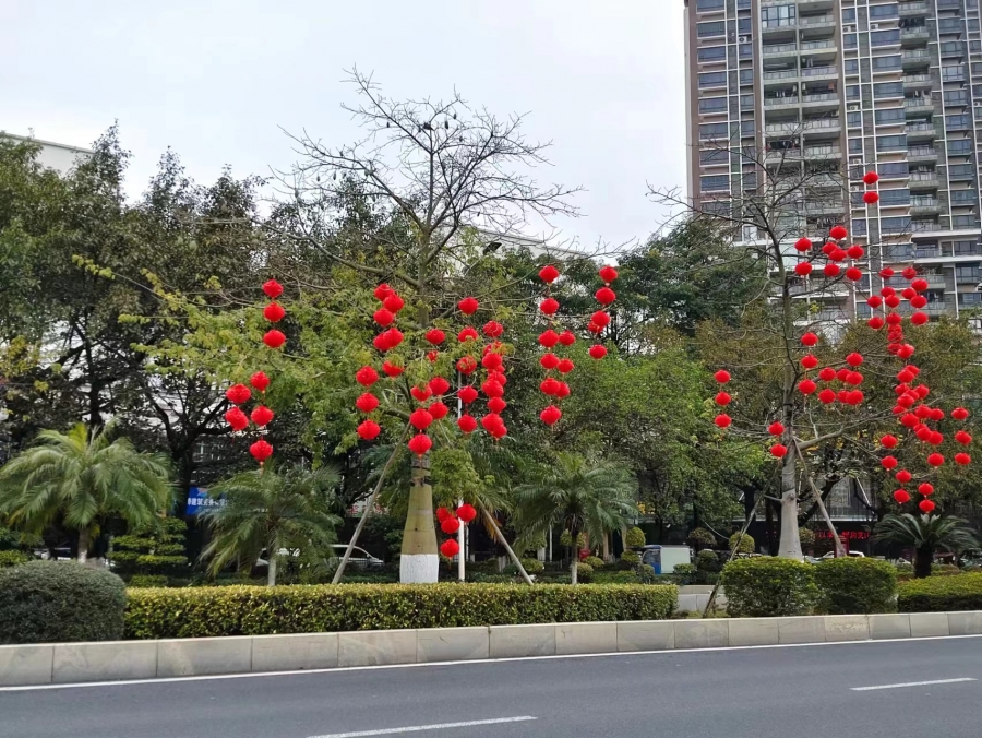 微信图片_20240202155534.jpg