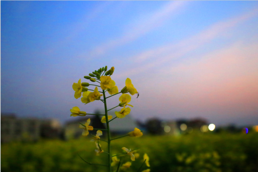 afa83ad1890b8128a60d8b44a07614d5.png