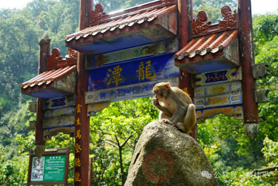 微信图片_20240306142906.png