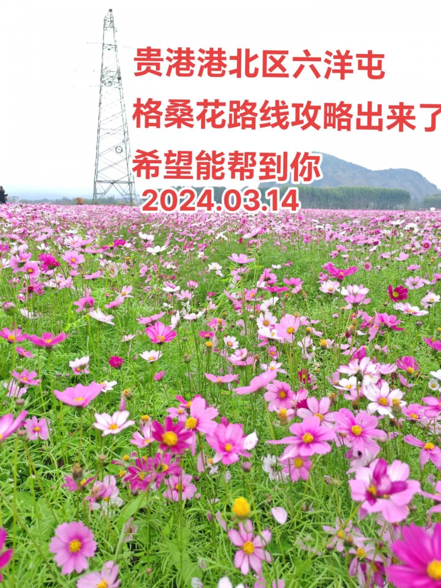 微信图片_20240315092658.jpg