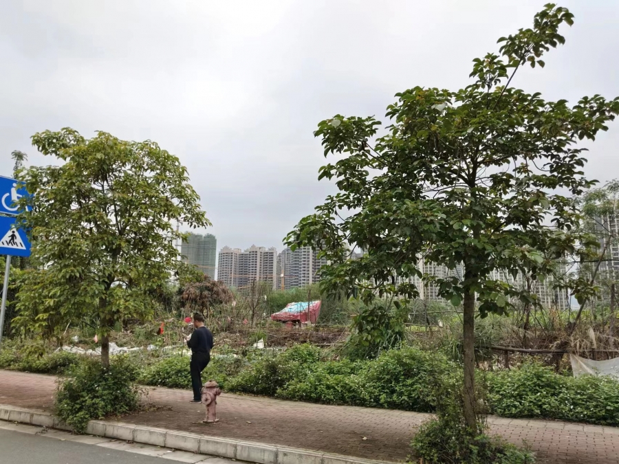 微信图片_20240409114125.jpg