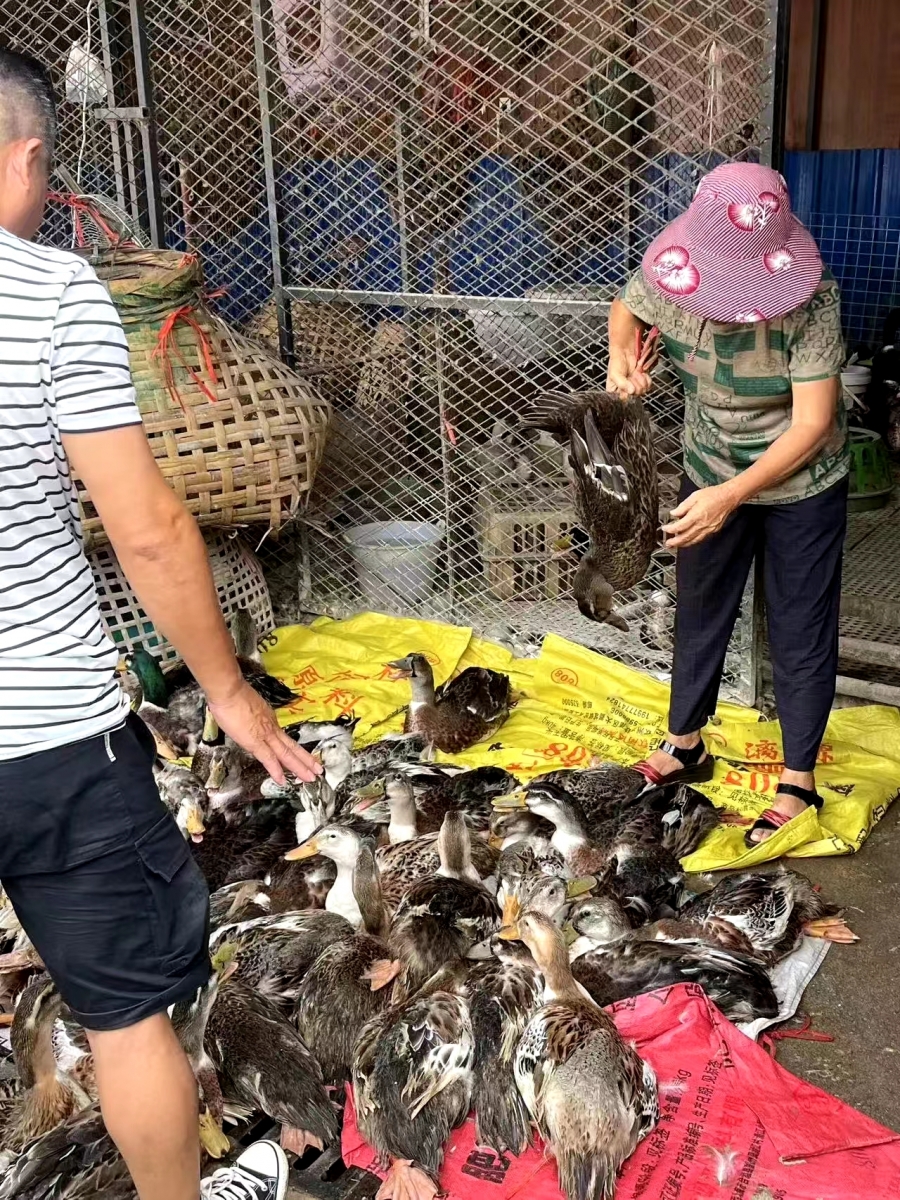 微信图片_20240812115739.jpg
