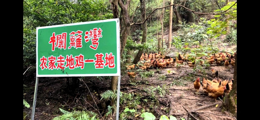 微信图片_20240812113122.jpg