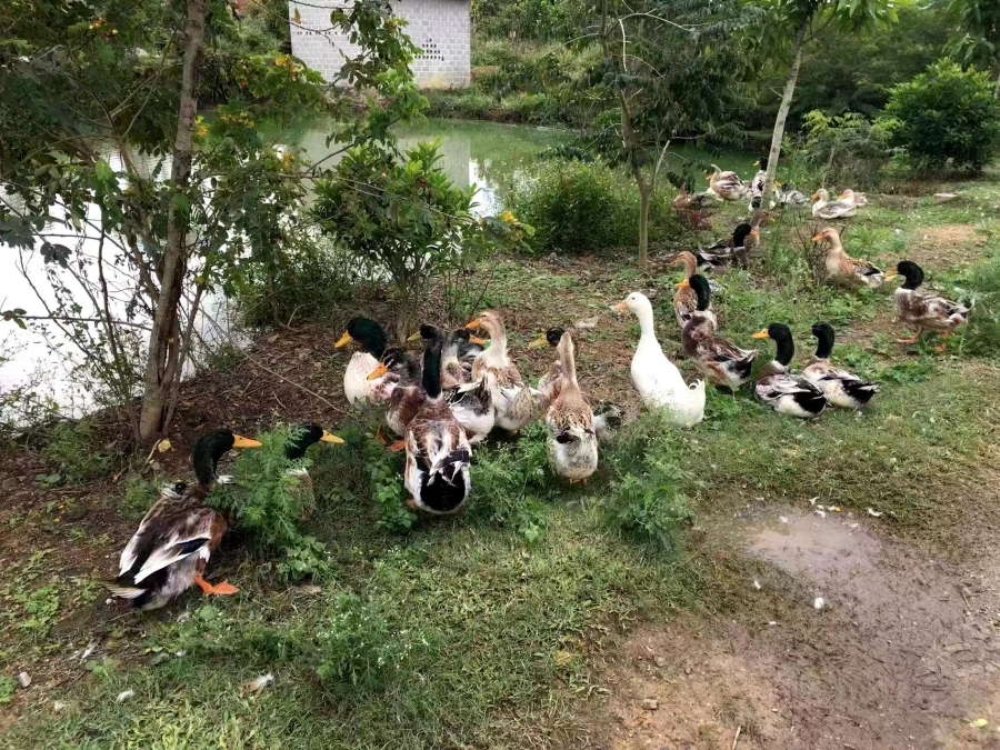微信图片_20240812113102.jpg