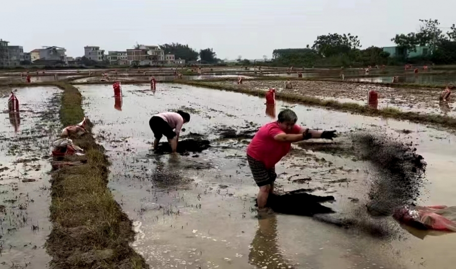 微信图片_20240812113230.jpg