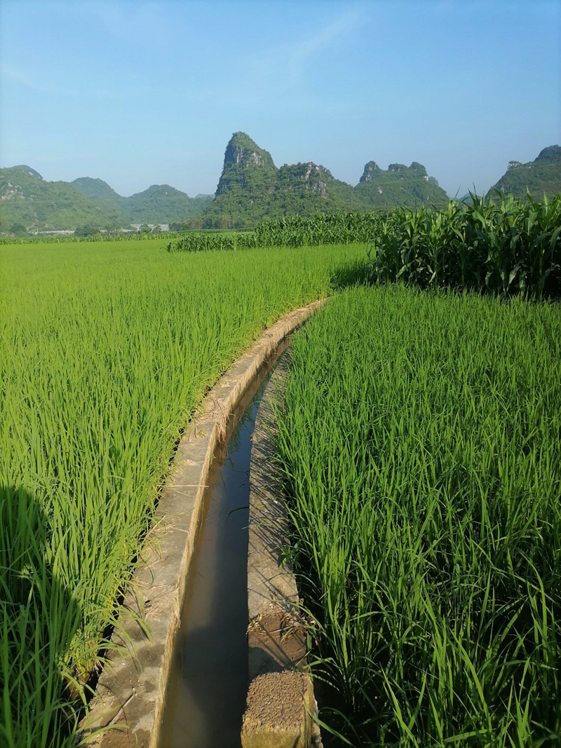 微信图片_20240906160353.png